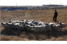 吉林市专业讨债公司，追讨消失的老赖